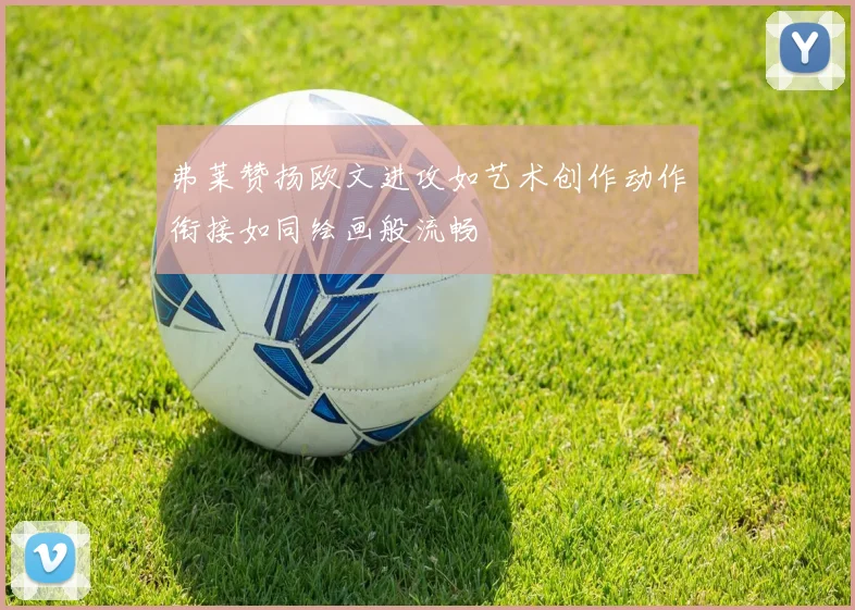弗莱赞扬欧文进攻如艺术创作动作衔接如同绘画般流畅